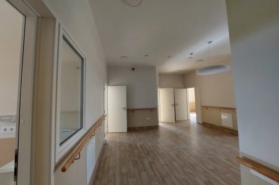 Panevēžas seniori